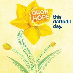 Daffodil Day: How employers can support workers with cancer