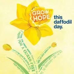 Daffodil Day: How employers can support workers with cancer - Career FAQs