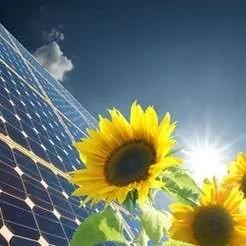 Green Energy in Australia: What’s Driving the Renewable Revolution?