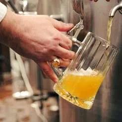 Turn beer into a career