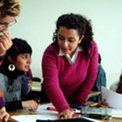 Higher education reform