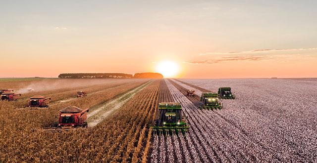 Agriculture: What does the future hold?