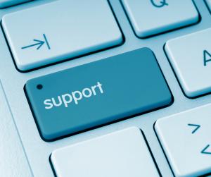 Government Support for Online Study: What You Need to Know