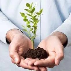 Australian employers prepare for growth