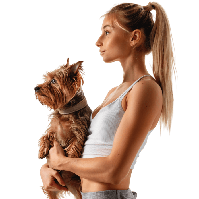 Pathway to a career as a Pet Exerciser