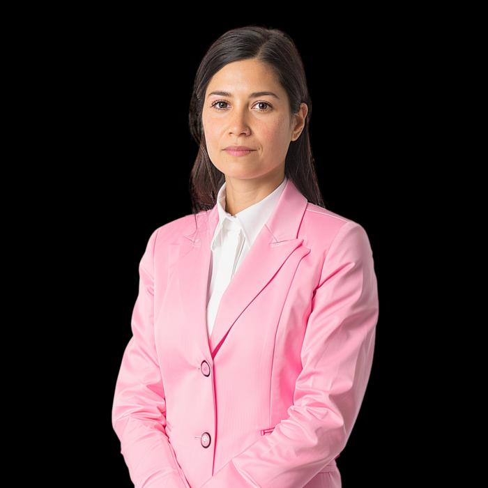 Pathway to a career as a Sustainability Officer